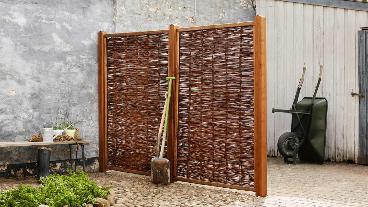 Flethegn i en dansk have